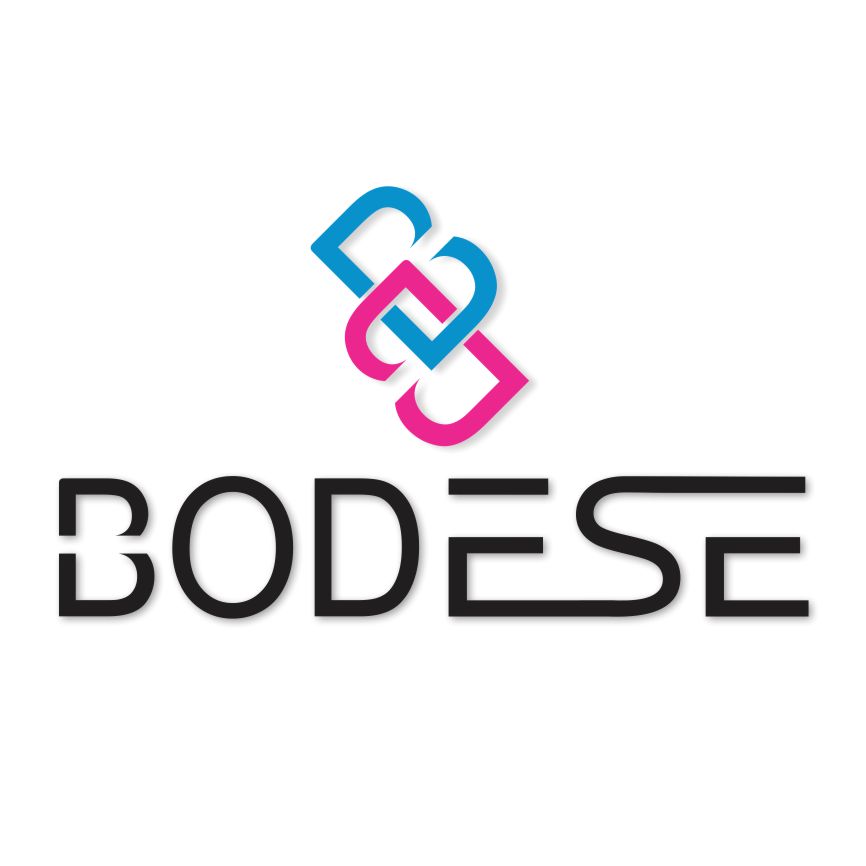 Bodese logo design by graphic designer in Gauteng featuring a modern brand identity
